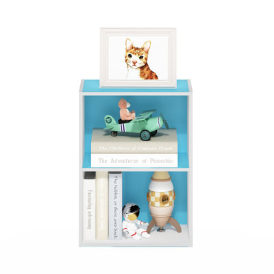 Heinzpeter Bookcase