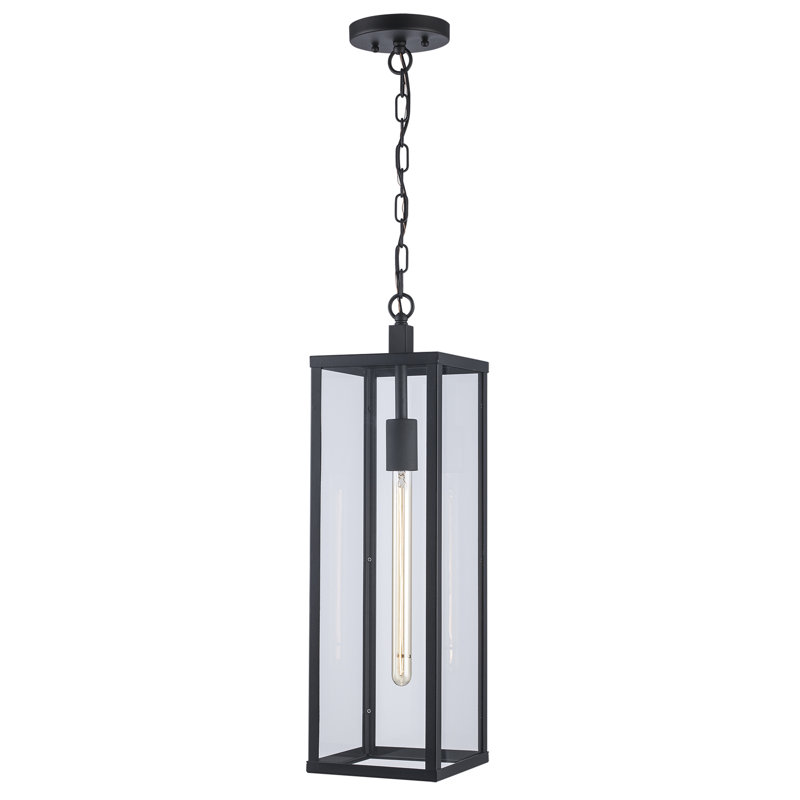 Lanterne suspendue d'extérieur 1 lumière Iddings, H 20,25 po x l 7 po x P 7 po