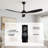 SkyFan Rigel 60" 3-Blade Ceiling Fan-2055300163