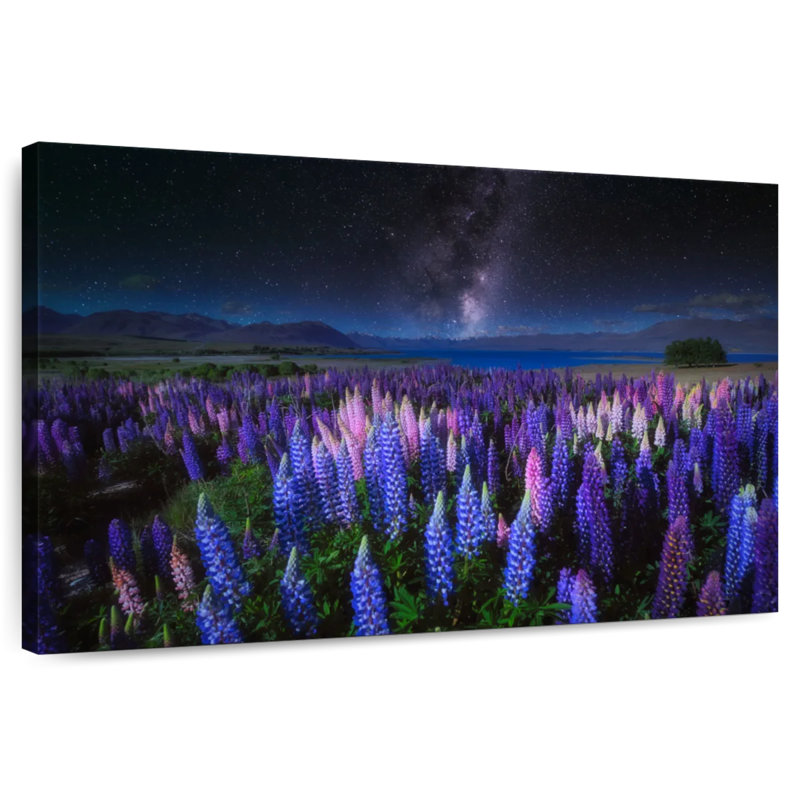 Alvord Lupins la nuit, H 24 po x l 36 po