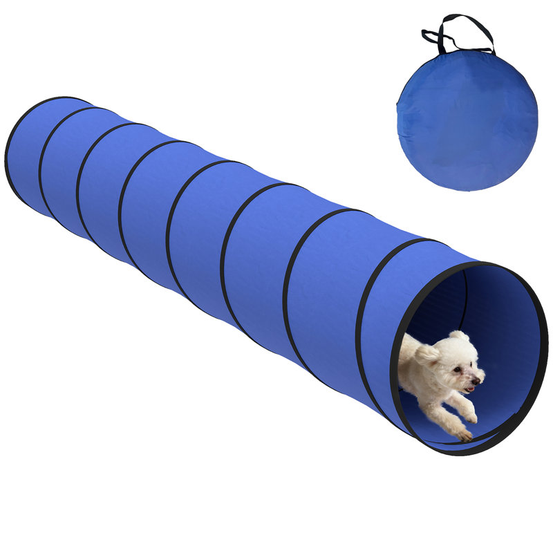 Dog Agility, 50cm H x 50cm W x 50cm D