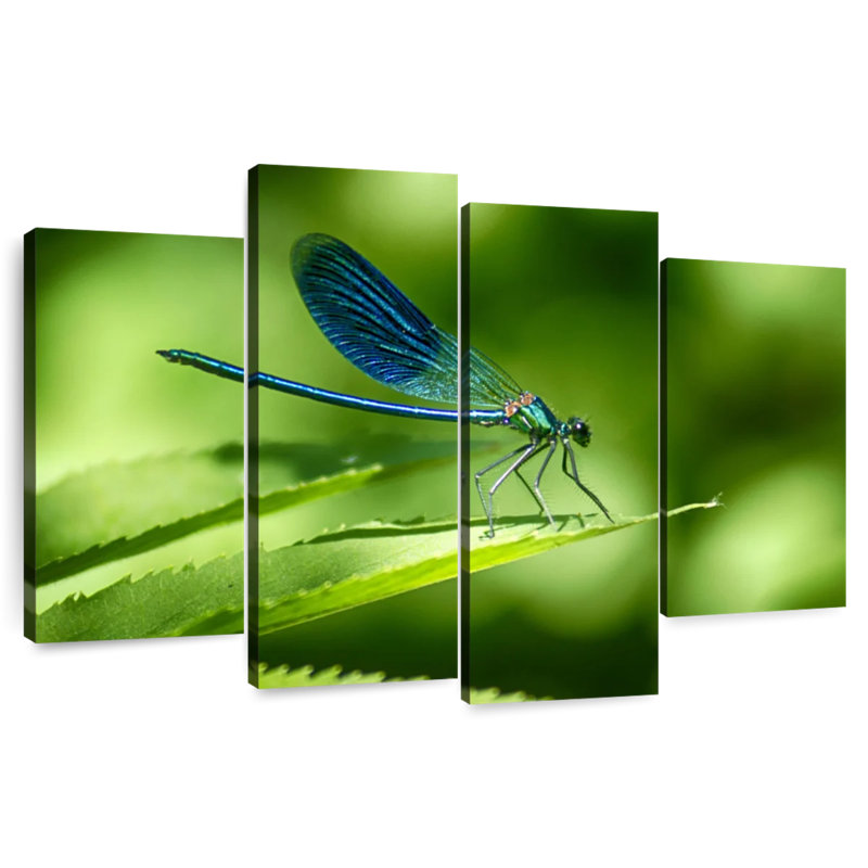 Libellule Brampt sur une feuille, H 27 po x l 43 po