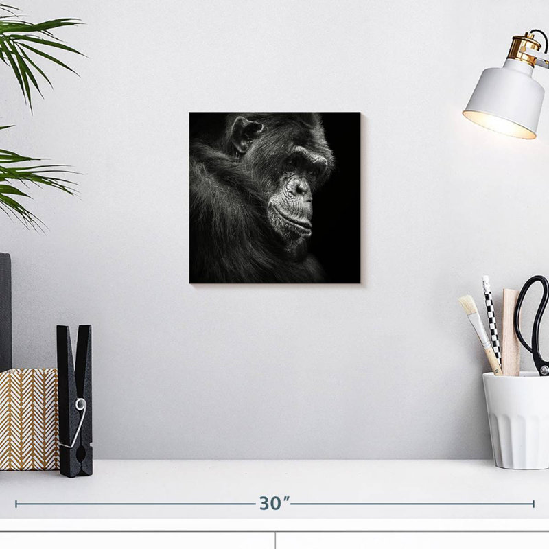 Crowle contemplant un chimpanzé, H 10 po x l 10 po