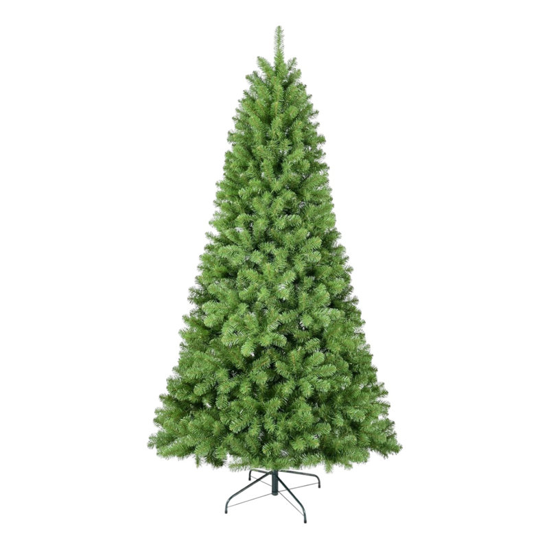 Sapin de Noël 8 pi Fraser