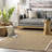 Palacio Farmhouse Seagrass Area Rug in Beige-1659588763