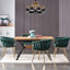 Abdurrahim Velvet Dining Chair - Ergonomic Tufted Back and Metal Legs - Button Back Armchair for Dining Room Living Room Restaurants-123096725-70052657