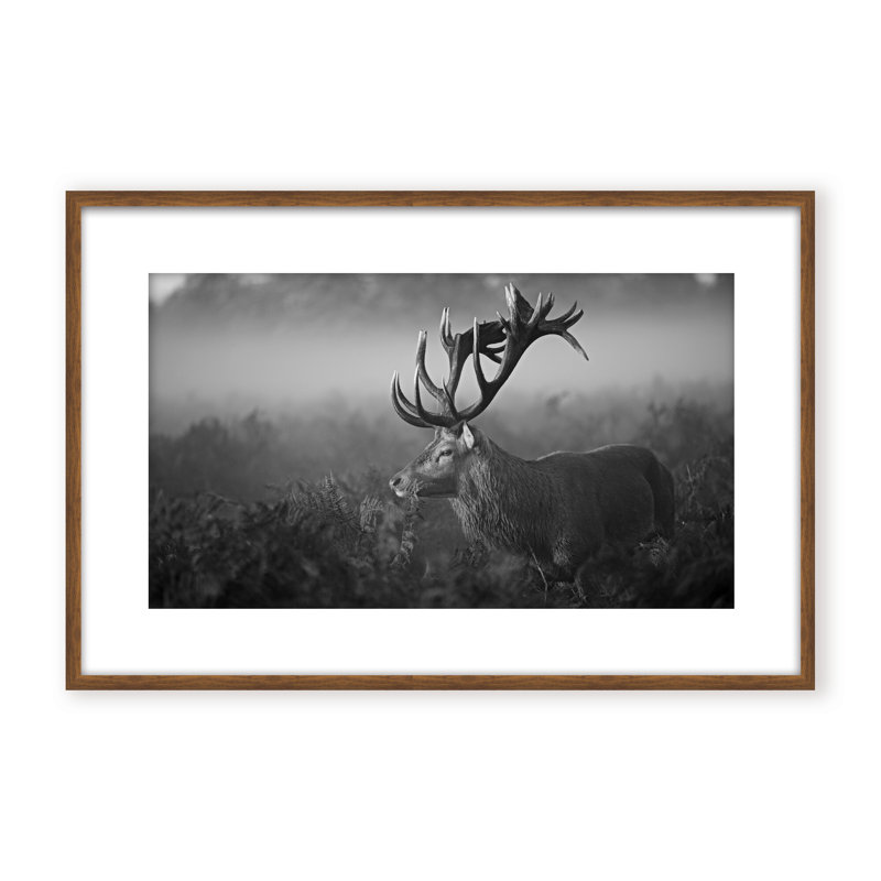 Nature Inspired Sunny Morning by  - Picture Frame Photograph on Paper, 16" H x 24" W x 1.125" D, Framed Print, Gold