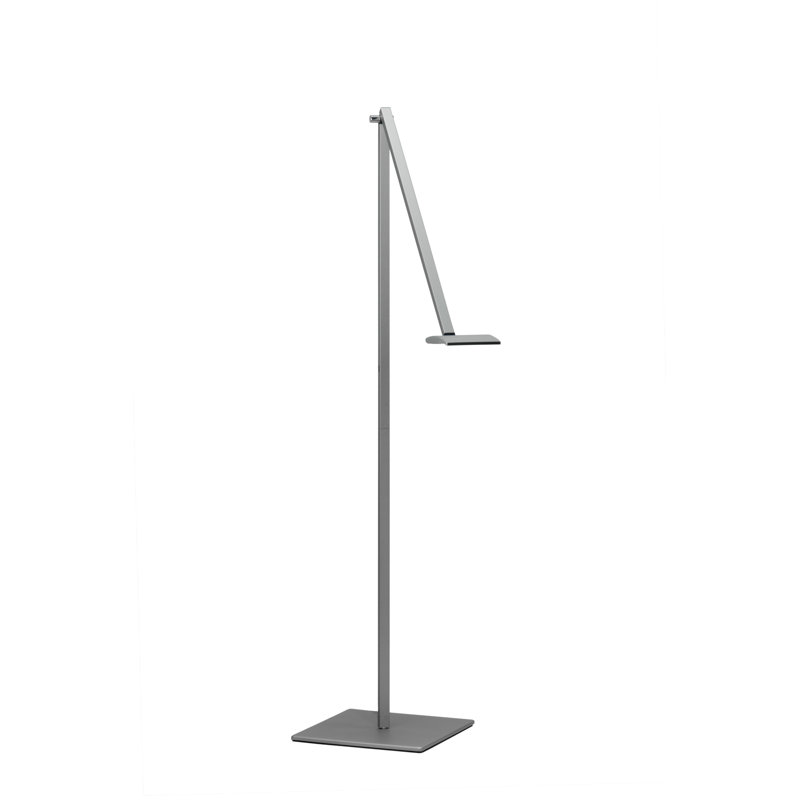 Mosso Pro 43.9'' LED Task Floor Lamp with USB, Silver