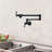 Topcraft 2 Handle Wall-mounted Pot Filling Kitchen Faucet, Matte Black