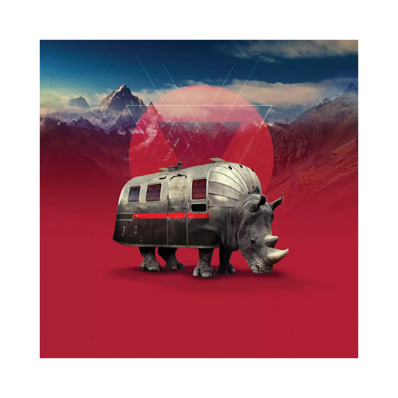 Rhino, Square by Ali Gulec - Wrapped Canvas Print, 45.72 cm H x 45.72 cm W x 1.91 cm D