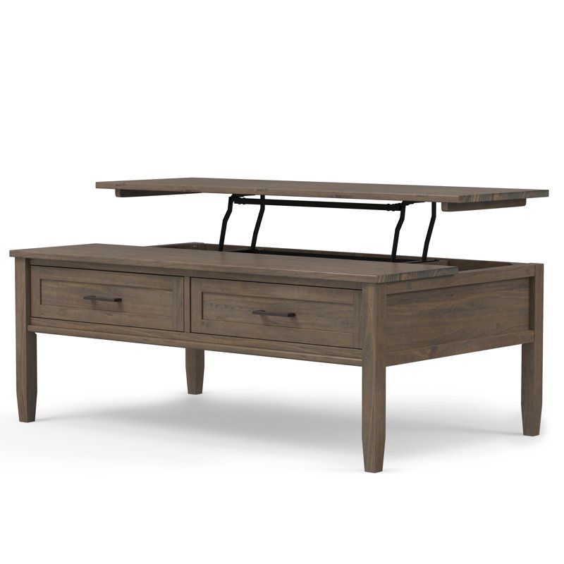 Ela 48"W Solid Wood Lift Top Coffee Table with Hidden Storage and 2 Storage Drawers