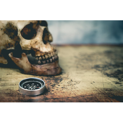 Pirate Skull by Junce - Wrapped Canvas Print
