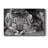 " Snow Leopard Sanctuary "-1998151519