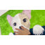 Tapis vert pour chien French Bulldog - 23,5 x 15,5 po (60 x 39 cm)