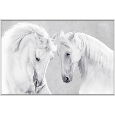 Oversized White Stallions Framed Photographic Print Canvas