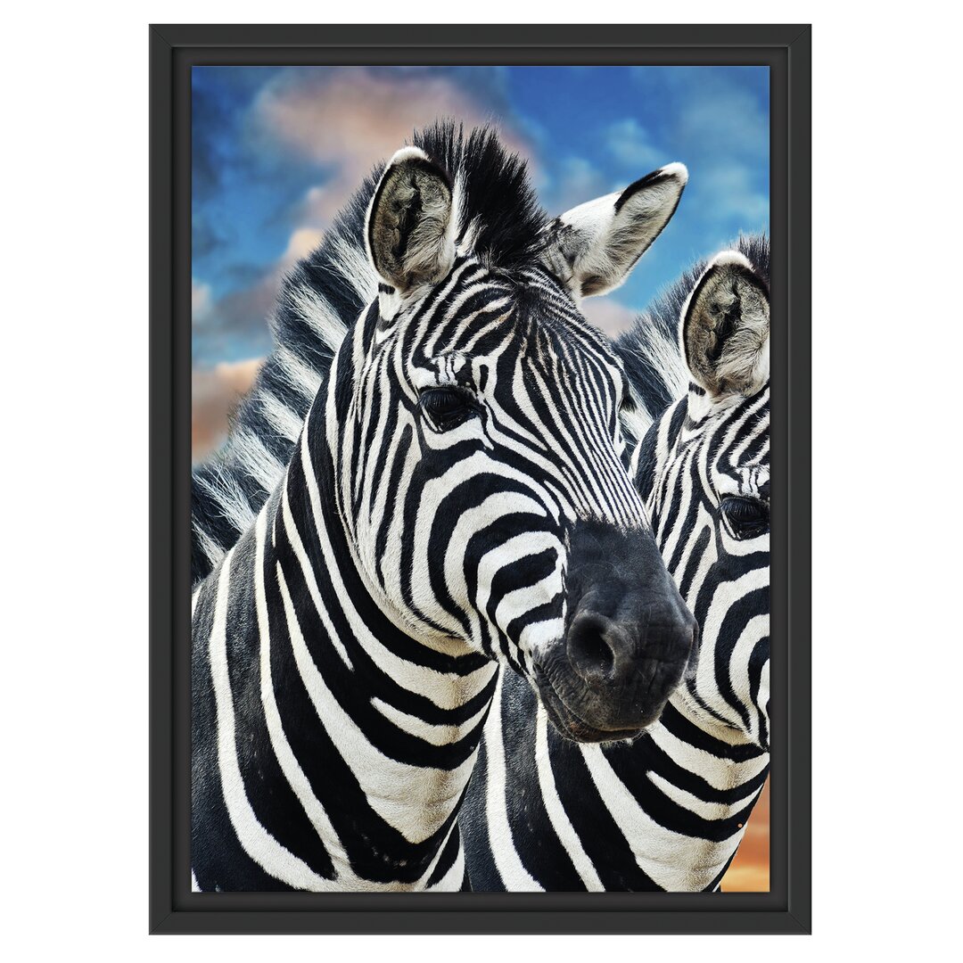 Gerahmtes Wandbild Zebra Pärchen