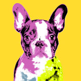 Frenchie IV Print by Guseul Park