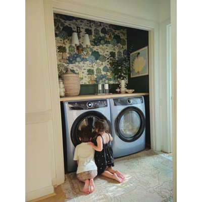 8.0 cu. ft. Front Load Electric Dryer with Instant Refresh