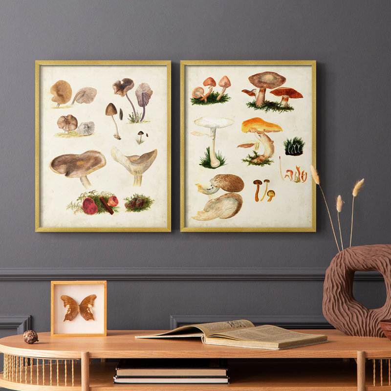 Champignon III - Reproduction encadrée de qualité supérieure - prêt à être accroché - aucun clou requis - aucun clou requis
