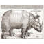 Art sur toile tendue Lark Manor ™ Durer, Albrecht, "The Rhinoceros"-240812758