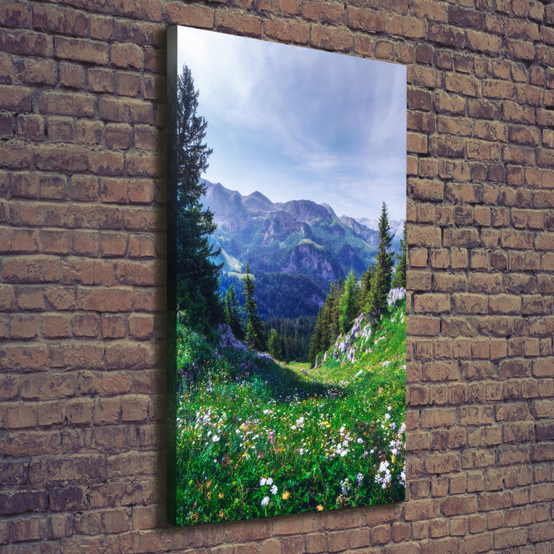 Alps - Wrapped Canvas Print