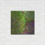 Brayden Studio® «Profusion II» par James Burghardt, art mural en métal-576710431