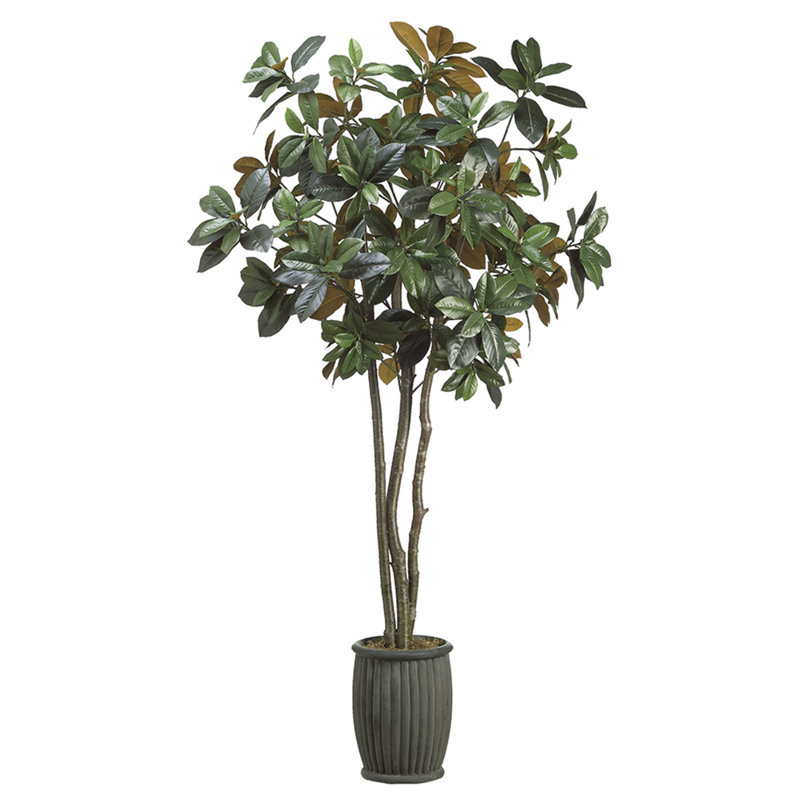 7'MAGNOLIA TR.IN CEMENT.PLANTER