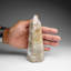 Polished Ocean Jasper Point From Madagascar (1.4 Lbs)