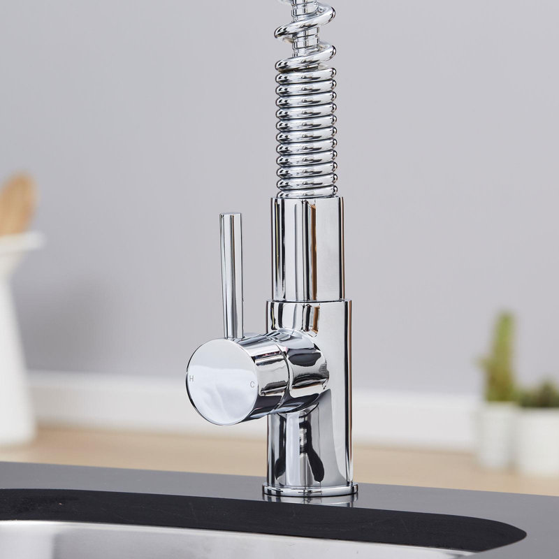 Belfry Kitchen Vaidya Pull Out Kitchen Faucet