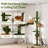 Floor-to-Ceiling Cat Tree with Wall Mounted Cat Shelves