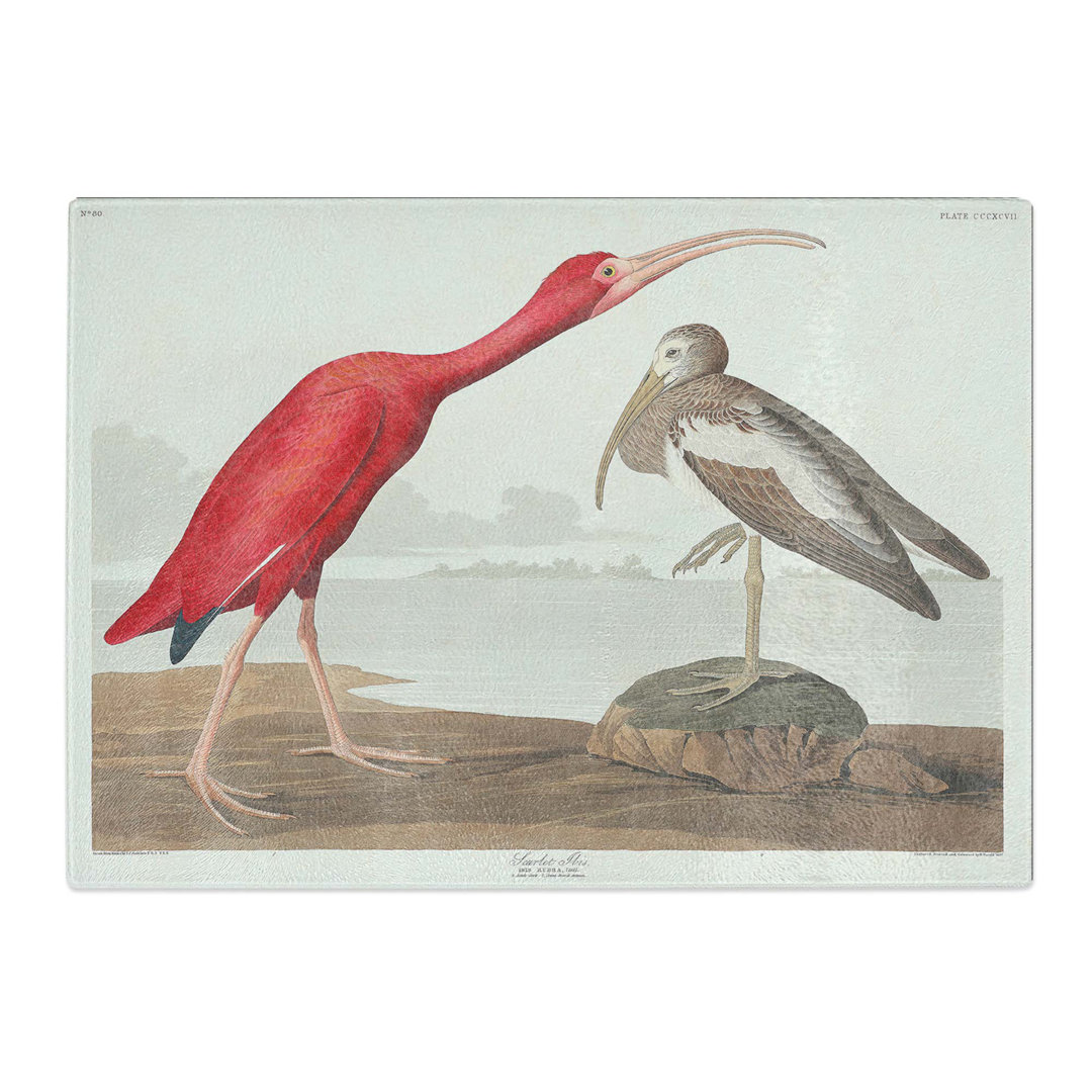 Tempered Glass Scarlet Ibis Bird by John James Audubon Chopping Board