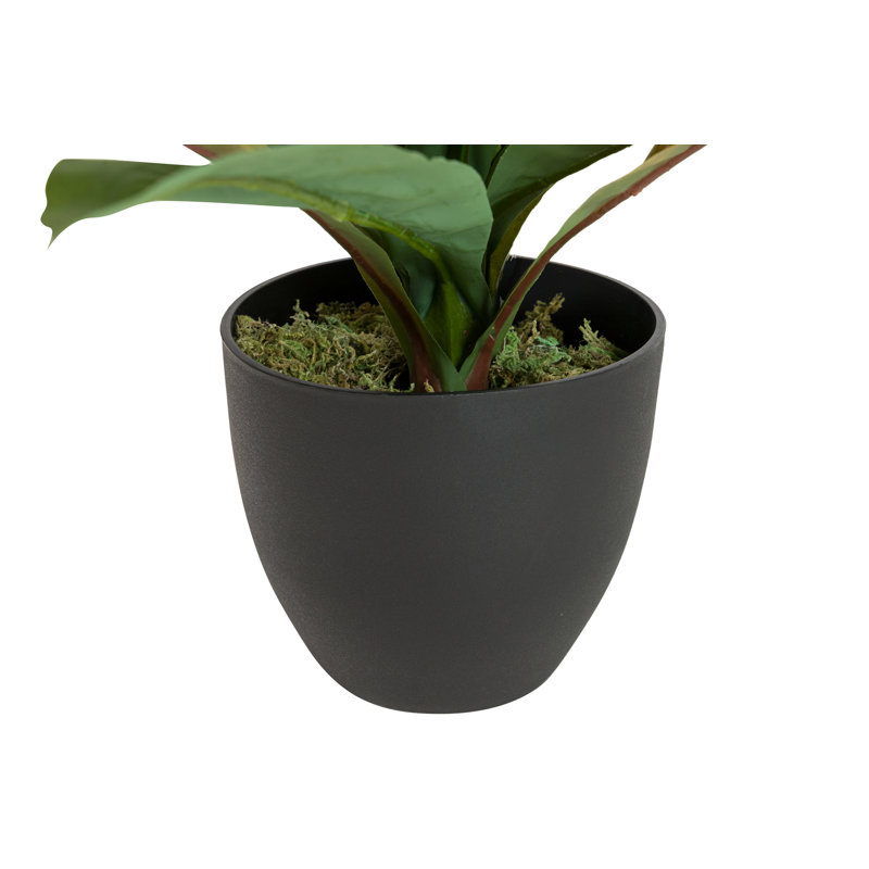 21cm Faux Banana Leaf Plant in Pot