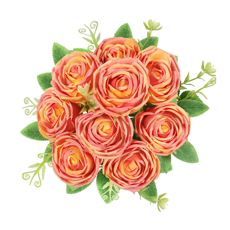 Rosiers Torres, Orange