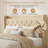 Modern Tufted Upholstered Bed In Velvet Or Linen With Charging Station & Headboard Shelf, High Clearance Under Bed Storage-290350259-290350262