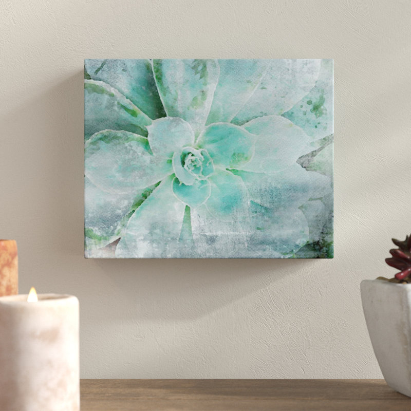 Impression sur toile Jeanetta «Teal Succulent 2», H 18 po x l 24 po x P 2 po