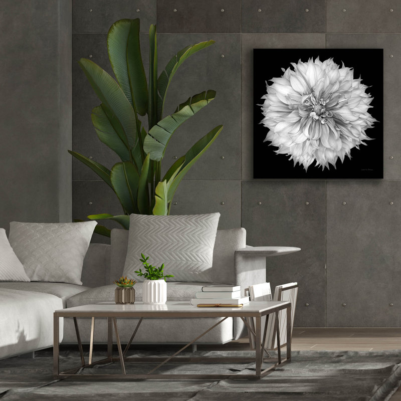  «Dahlia 1 Bw» par Debra Van Swearingen, art mural sur toile, 37 po x 37 po