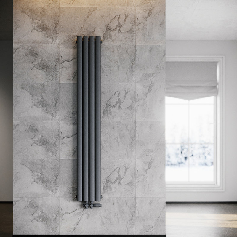 Shalanda Vertical Oval Panel Radiators, Anthracite, 160cm H x 23.6cm W