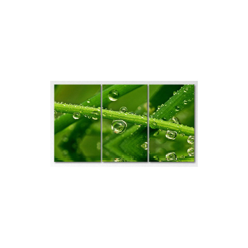 3 Piece Wrapped Canvas Print