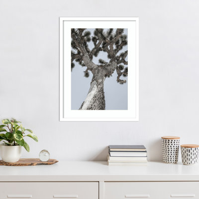 Joshua by Shot by Clint Wood Framed Wall Art Print