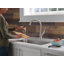 Robinet de cuisine en nickel brossé avec douchette extractible Ophelia, robinet d'évier de cuisine monotrou moderne, poignée simple, acier inoxydable SpotShield-64667157