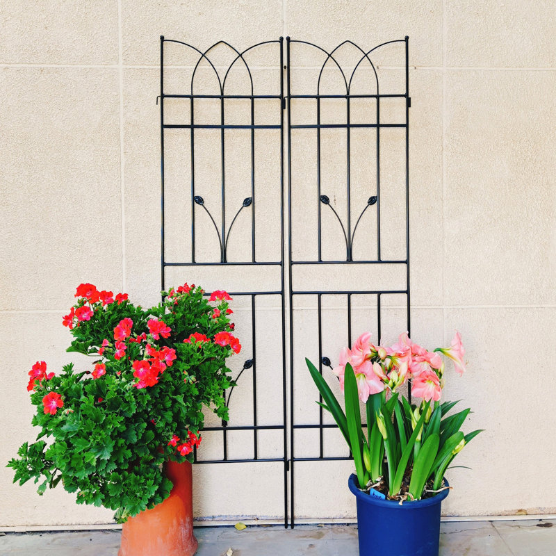 2 Pack Metal Garden Trellis 71" X 17.7" Rustproof Trellis For Climbing Plants Outdoor Flower Support, Black