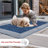 Alegre Bordered Indoor/Outdoor Rug-1440001692-1346886501