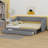 Upholstered Daybed With Two Drawers-1851467398