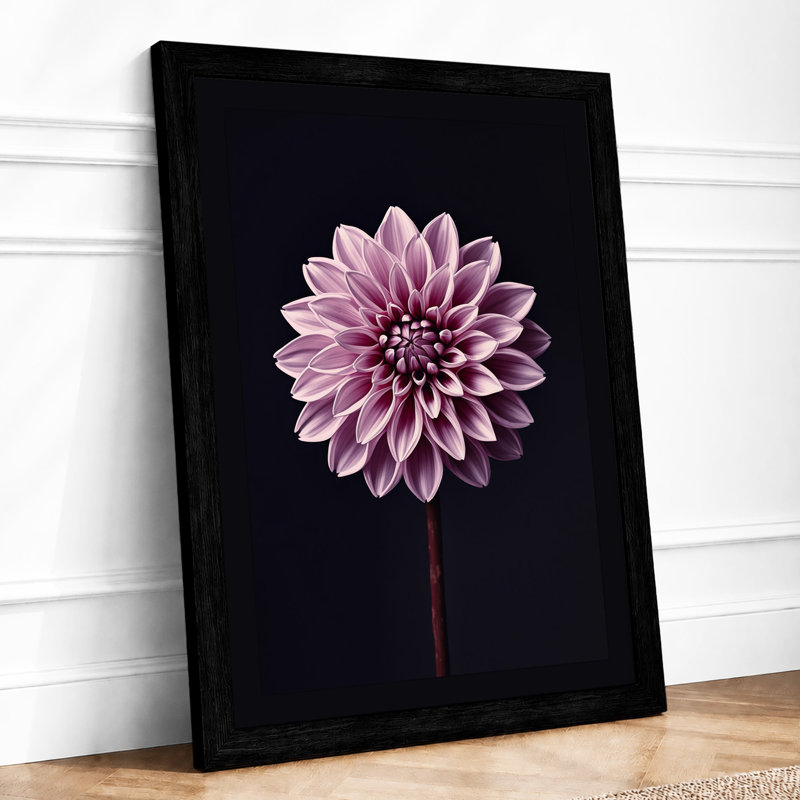 Dahlia In Focus Botanical - Print, A1 - 84.1 x 59.4 cm, Black