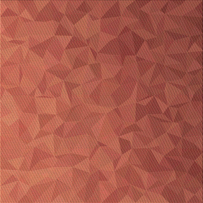Indoor Rug