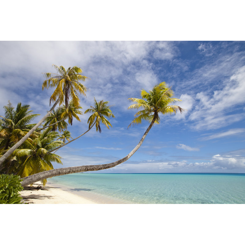 Palm Trees by Vladoskan - Wrapped Canvas Print, 30cm H x 46cm W x 3.8cm D
