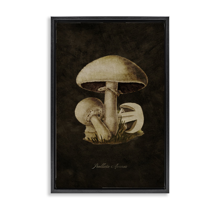 Toile flottante Portobello par Tina Higgins Designs, Inc., H 31 po x l 21 po, Cadre flottant noir de jais