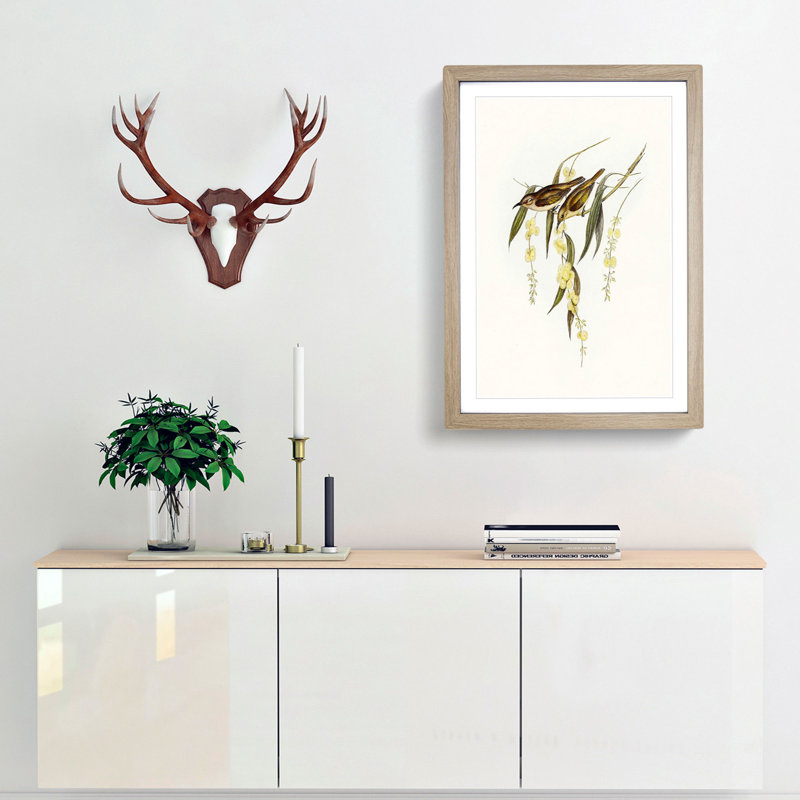 Brown Honeyeater Birds by Elizabeth Gould - Picture Frame Graphic Art Print, 36cm H x 27cm W x 2cm D, Oak Framed