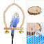 9,4 oiseaux