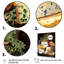Plateau à fromage Santalaris II-1102053468-1102053469